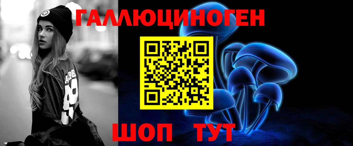 Галлюциногенные грибы Psilocybe  Вход с VPN  Калуга  Галлюциногенные грибы Psilocybe 
